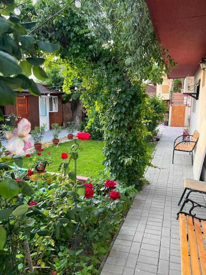 Vila Iris Mamaia Nord Navodari Ngoại thất bức ảnh